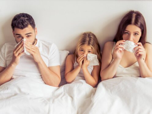 Indoor air quality services in La Plata, MD