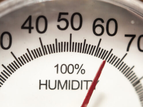 Humidity gauge